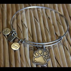 Alex and Ani Bracelet